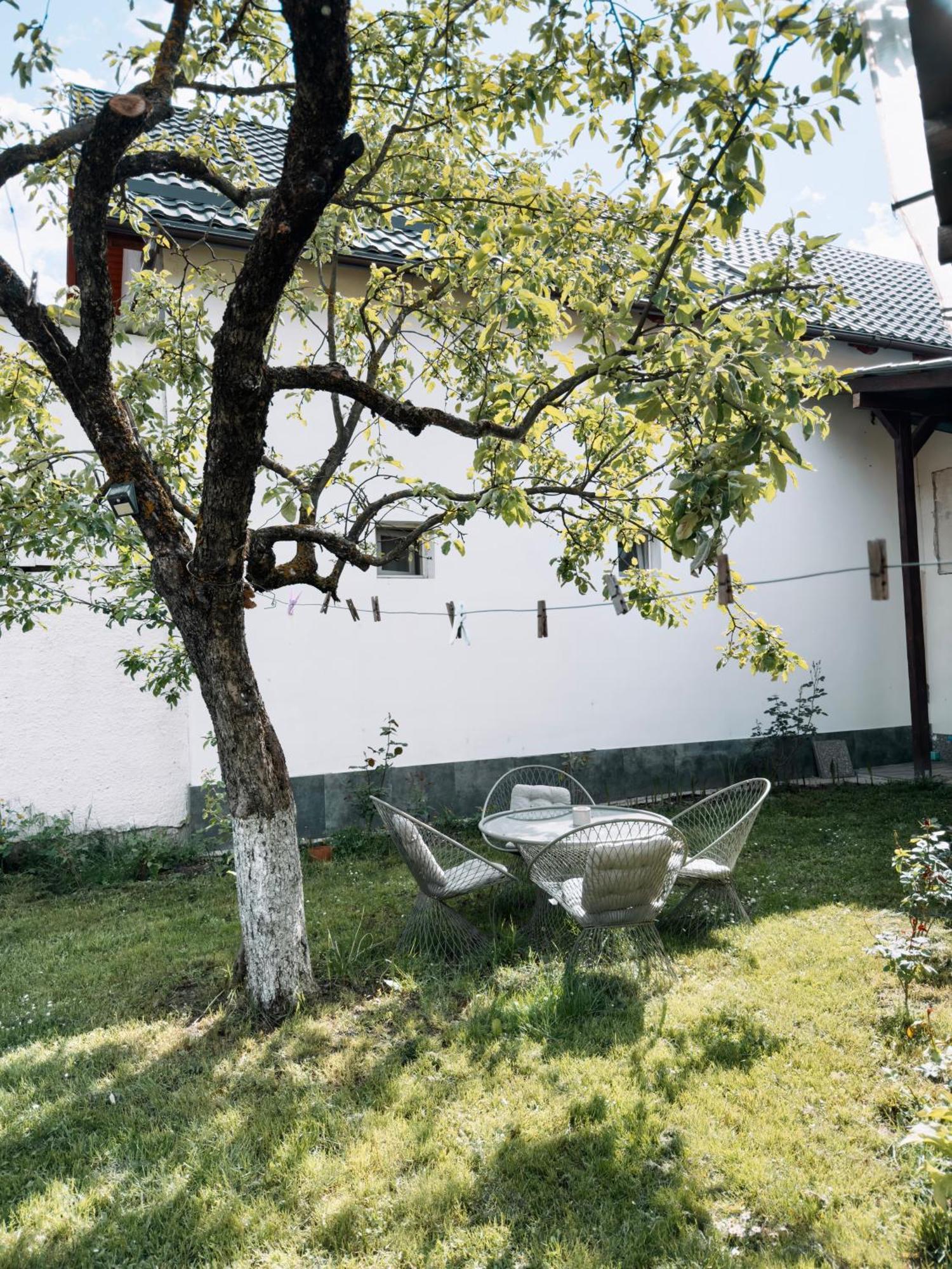 Garage Apartment Râșnov Rasnov Exterior foto