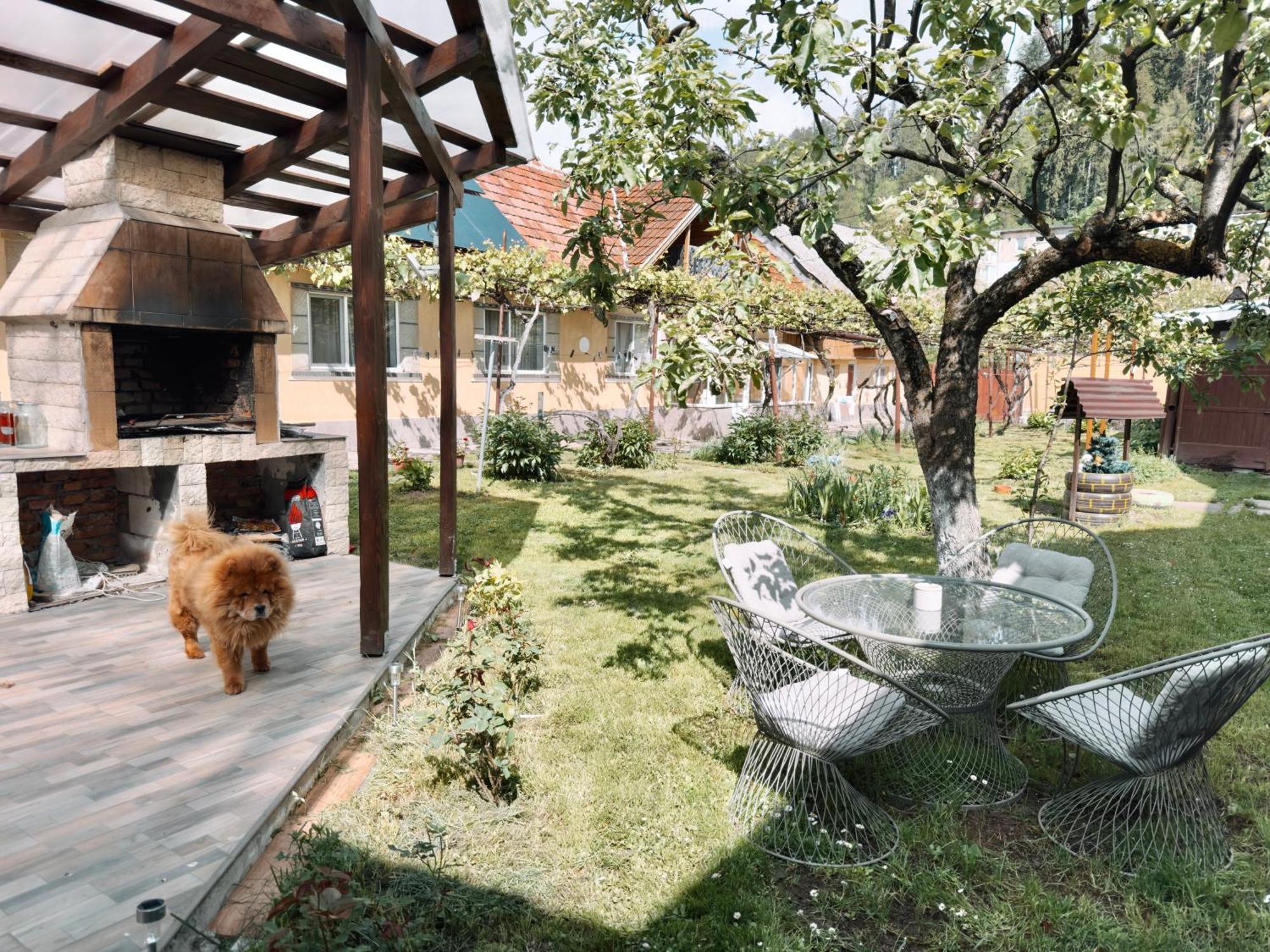 Garage Apartment Râșnov Rasnov Exterior foto
